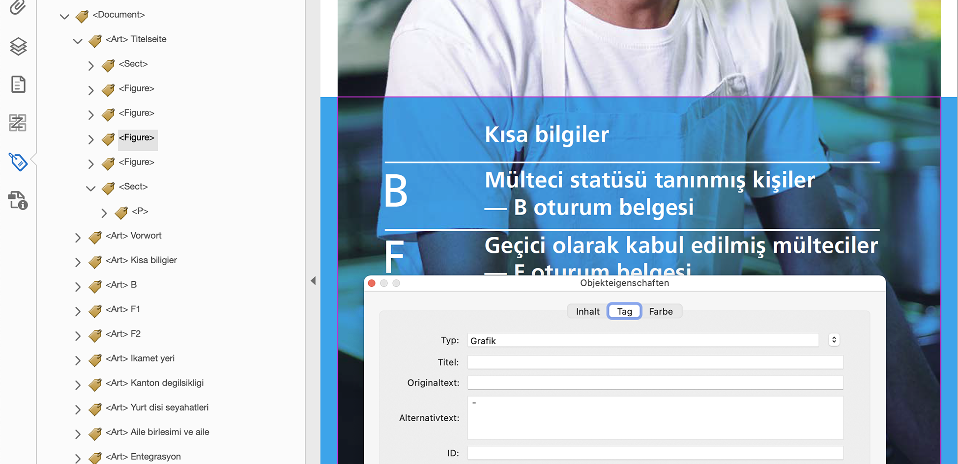 Abbildung 15: Testdokument 141 mit dem PDF/UA-Index 100. Ein weiteres fehlerhaftes Beispiel mit höchst möglichem Indexwert. Es wurden Texte in Bilder ohne sinnvollen Alternativtext verwendet. Die Überschriftenhierarchie ist nicht durchgängig korrekt. Zudem wurden Texte in Weiss (unsichtbar) als H2 (Überschrift 2) getaggt was keiner gleichberechtigten Lösung entspricht.